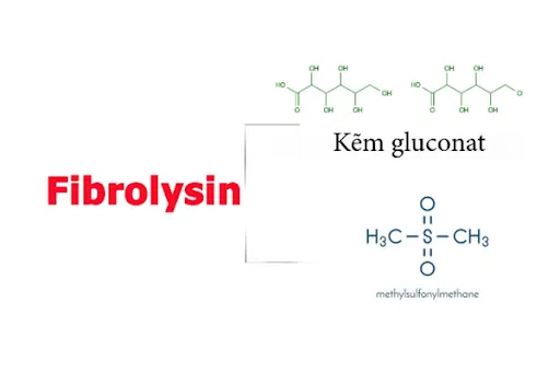 Sản phẩm thảo dược chứa Fibrolysin giúp hỗ trợ phòng ngừa viêm phổi kẽ hiệu quả